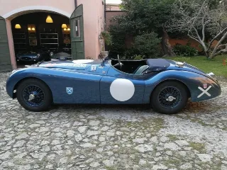 Foto 5 di 269: JAGUAR XK120 ots 1952-1000 MIGLIA ELIGIBLE