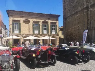 Foto 60 di 269: JAGUAR XK120 ots 1952-1000 MIGLIA ELIGIBLE