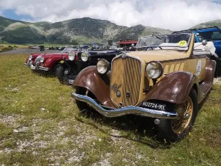 Foto 64 di 269: JAGUAR XK120 ots 1952-1000 MIGLIA ELIGIBLE