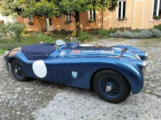 Foto 6 di 269: JAGUAR XK120 ots 1952-1000 MIGLIA ELIGIBLE