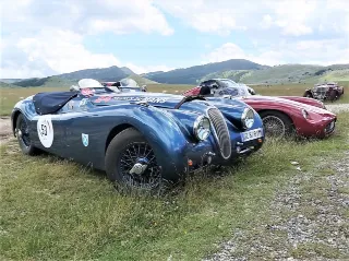 Foto 73 di 269: JAGUAR XK120 ots 1952-1000 MIGLIA ELIGIBLE