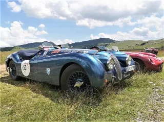 Foto 74 di 269: JAGUAR XK120 ots 1952-1000 MIGLIA ELIGIBLE