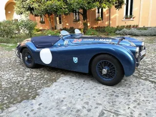Foto 7 di 269: JAGUAR XK120 ots 1952-1000 MIGLIA ELIGIBLE