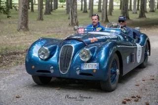 Foto 82 di 269: JAGUAR XK120 ots 1952-1000 MIGLIA ELIGIBLE