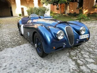 Foto 8 di 269: JAGUAR XK120 ots 1952-1000 MIGLIA ELIGIBLE
