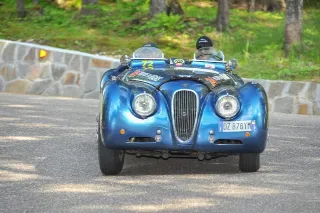 Foto 93 di 269: JAGUAR XK120 ots 1952-1000 MIGLIA ELIGIBLE