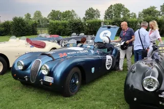 Foto 98 di 269: JAGUAR XK120 ots 1952-1000 MIGLIA ELIGIBLE