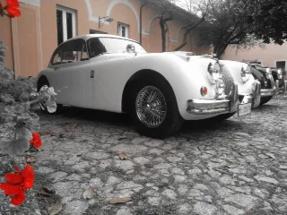 Foto 136 di 268: JAGUAR XK 140 fhc overdrive 1956-1di 843 prodotti