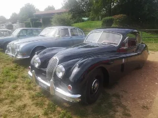 Foto 157 di 268: JAGUAR XK 140 fhc overdrive 1956-1di 843 prodotti