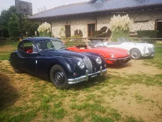 Foto 159 di 268: JAGUAR XK 140 fhc overdrive 1956-1di 843 prodotti