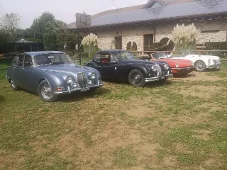Foto 160 di 268: JAGUAR XK 140 fhc overdrive 1956-1di 843 prodotti