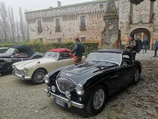 Foto 170 di 268: JAGUAR XK 140 fhc overdrive 1956-1di 843 prodotti