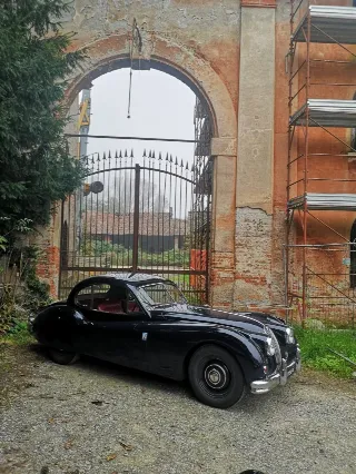 Foto 174 di 268: JAGUAR XK 140 fhc overdrive 1956-1di 843 prodotti
