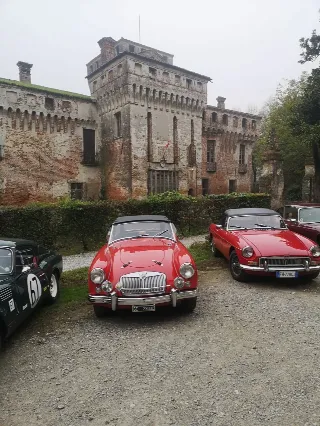 Foto 181 di 268: JAGUAR XK 140 fhc overdrive 1956-1di 843 prodotti