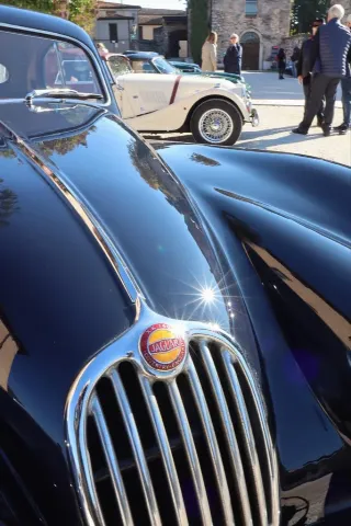 Foto 216 di 268: JAGUAR XK 140 fhc overdrive 1956-1di 843 prodotti