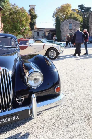 Foto 217 di 268: JAGUAR XK 140 fhc overdrive 1956-1di 843 prodotti