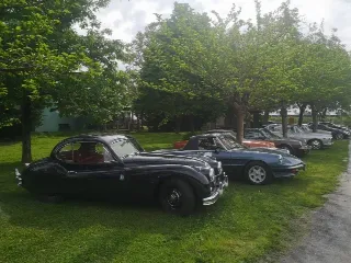 Foto 234 di 268: JAGUAR XK 140 fhc overdrive 1956-1di 843 prodotti