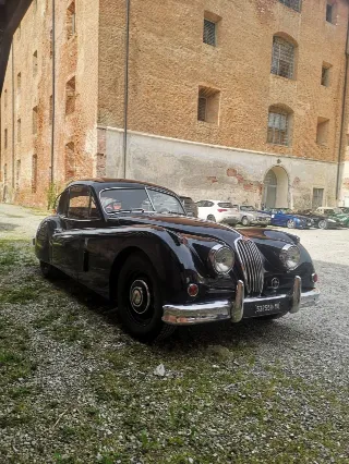 Foto 235 di 268: JAGUAR XK 140 fhc overdrive 1956-1di 843 prodotti