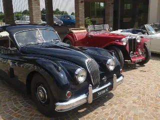 Foto 238 di 268: JAGUAR XK 140 fhc overdrive 1956-1di 843 prodotti