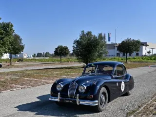 Foto 247 di 268: JAGUAR XK 140 fhc overdrive 1956-1di 843 prodotti