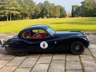 Foto 248 di 268: JAGUAR XK 140 fhc overdrive 1956-1di 843 prodotti