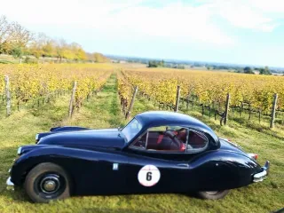 Foto 249 di 268: JAGUAR XK 140 fhc overdrive 1956-1di 843 prodotti