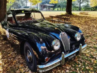Foto 253 di 268: JAGUAR XK 140 fhc overdrive 1956-1di 843 prodotti