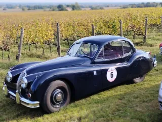 Foto 254 di 268: JAGUAR XK 140 fhc overdrive 1956-1di 843 prodotti
