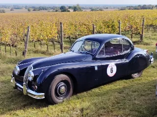 Foto 260 di 268: JAGUAR XK 140 fhc overdrive 1956-1di 843 prodotti