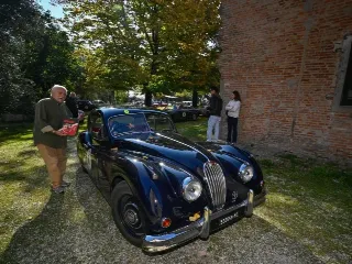 Foto 263 di 268: JAGUAR XK 140 fhc overdrive 1956-1di 843 prodotti