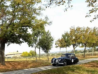 Foto 264 di 268: JAGUAR XK 140 fhc overdrive 1956-1di 843 prodotti