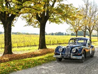 Foto 267 di 268: JAGUAR XK 140 fhc overdrive 1956-1di 843 prodotti