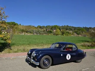 Foto 268 di 268: JAGUAR XK 140 fhc overdrive 1956-1di 843 prodotti
