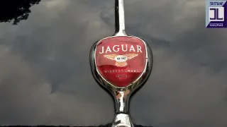 Foto 40 di 268: JAGUAR XK 140 fhc overdrive 1956-1di 843 prodotti