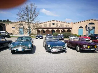 Foto 233 di 397: ASTON MARTIN DB6 1966
