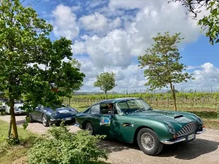 Foto 365 di 397: ASTON MARTIN DB6 1966