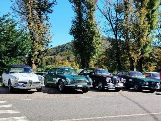 Foto 397 di 397: ASTON MARTIN DB6 1966