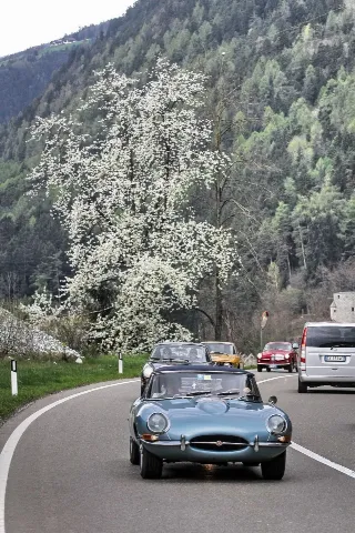 Foto 100 di 385: JAGUAR E TYPE 4.2 ROADSTER S1 1965
