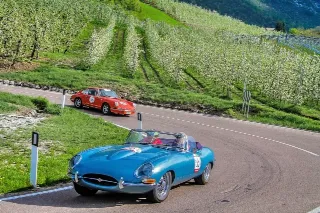 Foto 110 di 385: JAGUAR E TYPE 4.2 ROADSTER S1 1965