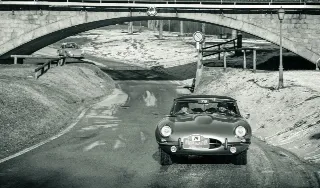Foto 170 di 385: JAGUAR E TYPE 4.2 ROADSTER S1 1965