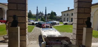 Foto 207 di 385: JAGUAR E TYPE 4.2 ROADSTER S1 1965