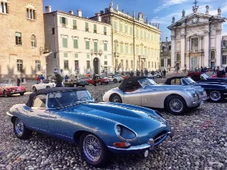 Foto 243 di 385: JAGUAR E TYPE 4.2 ROADSTER S1 1965