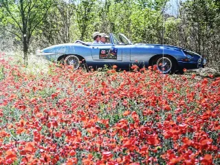 Foto 258 di 385: JAGUAR E TYPE 4.2 ROADSTER S1 1965