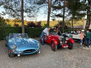 Foto 270 di 385: JAGUAR E TYPE 4.2 ROADSTER S1 1965