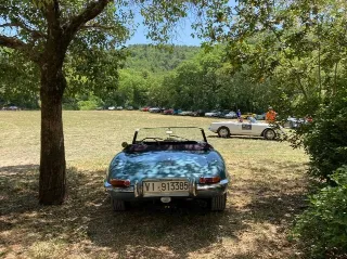 Foto 271 di 385: JAGUAR E TYPE 4.2 ROADSTER S1 1965
