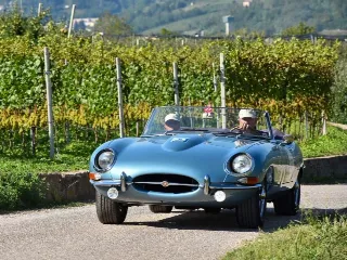 Foto 286 di 385: JAGUAR E TYPE 4.2 ROADSTER S1 1965