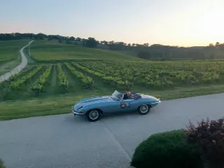 Foto 337 di 385: JAGUAR E TYPE 4.2 ROADSTER S1 1965