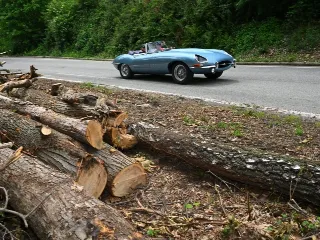Foto 372 di 385: JAGUAR E TYPE 4.2 ROADSTER S1 1965
