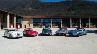 Foto 39 di 385: JAGUAR E TYPE 4.2 ROADSTER S1 1965
