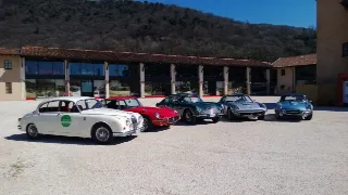Foto 40 di 385: JAGUAR E TYPE 4.2 ROADSTER S1 1965